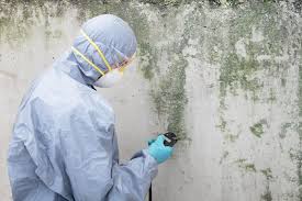 Best Real Estate Mold Inspection in Cloverdale, VA